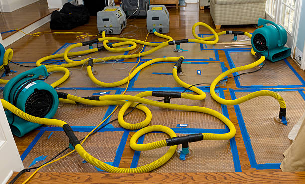 Professional Sewage Cleanup technician working in Denton, TX
